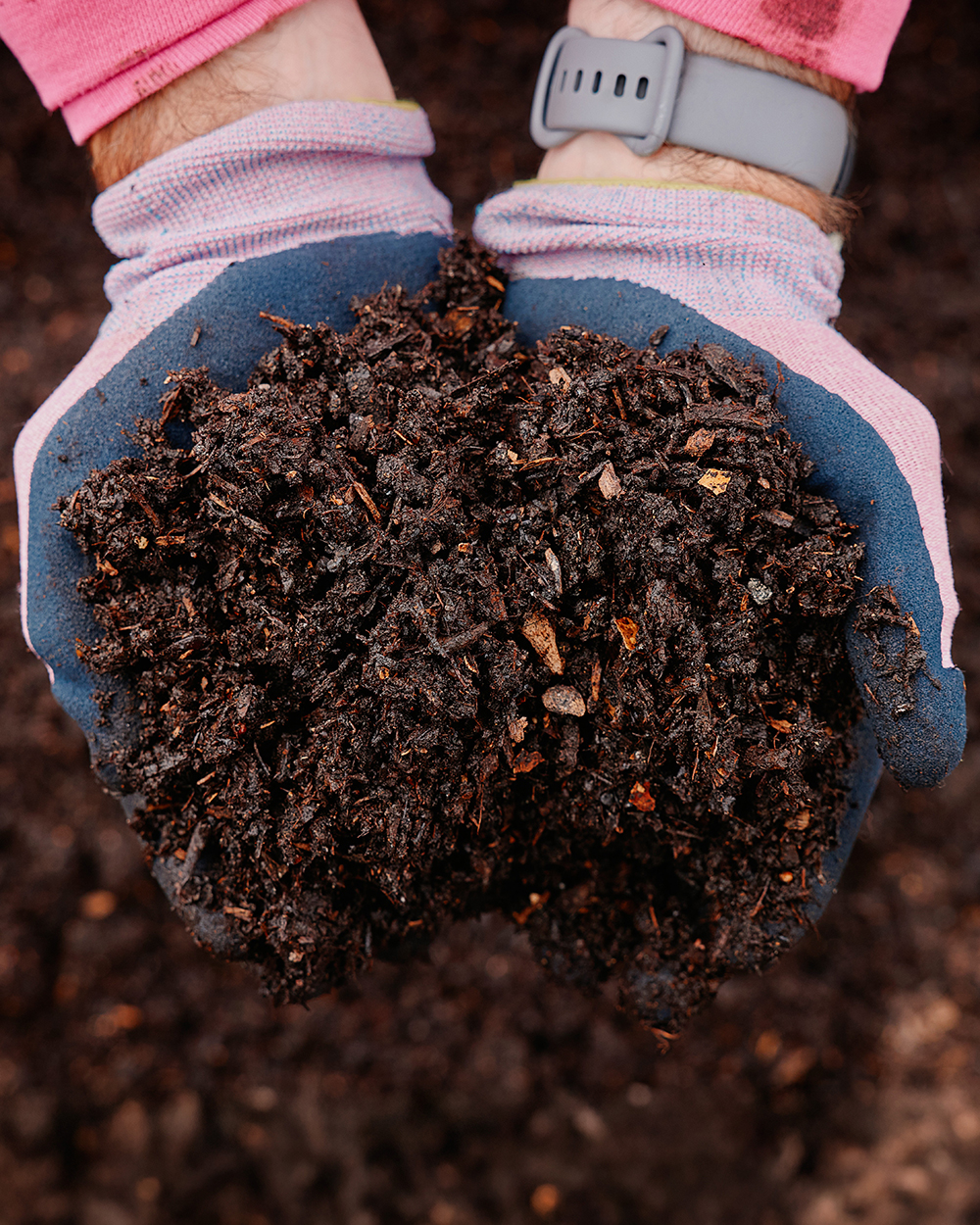 Closeup of hands holding compost