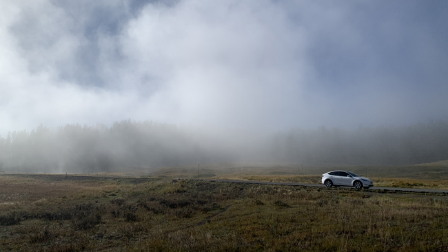A distant shot of Steve's silver Model Y with fog behind it, blurring the trees in the background.