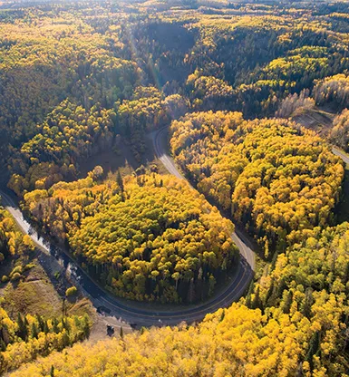 7 Leaf Peeping Road Trips Perfect for Electric Vehicles – 5280.com